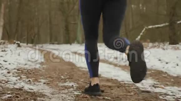 适合在公园慢跑的女性腿冬天在森林里奔跑的女人的腿女孩漂亮的运动身体强烈的运动视频的预览图