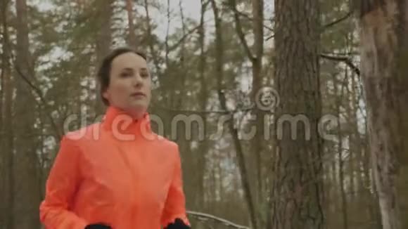 女人在公园里跑步年轻自信的女人在淡季在森林里慢跑有职业动机的运动员跑步激烈刻苦视频的预览图