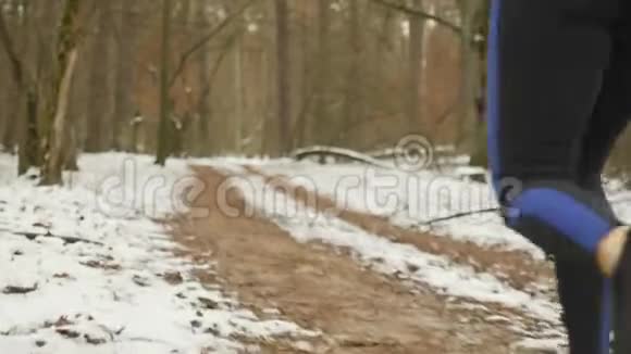 职业运动员在公园跑步在冬天的森林里早晨慢跑时把女性的腿收起来女人在户外跑回来视频的预览图