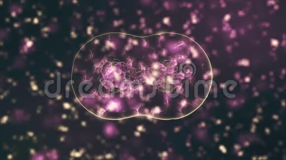 感染有机体内冠状病毒2019nCOV的病原体显示为黑色背景上的棕色圆形细胞2019视频的预览图