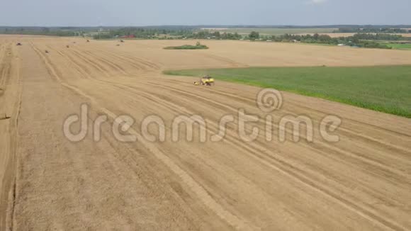 小麦田间空中景观农业联合机械作物收割机视频的预览图