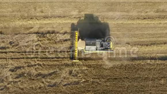 农场联合收割机在田园空中俯视采集熟麦粮食视频的预览图