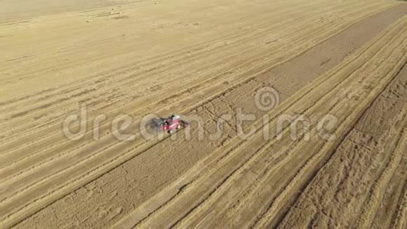 农民联合收割熟小麦籽粒农业田间空中景观视频的预览图