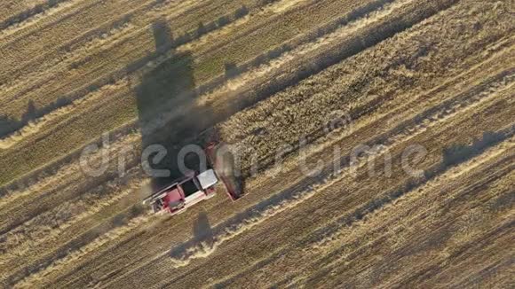 联合收割机在农田空中俯视采集谷物视频的预览图