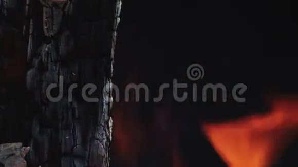 烧焦的树在野火中燃烧视频的预览图