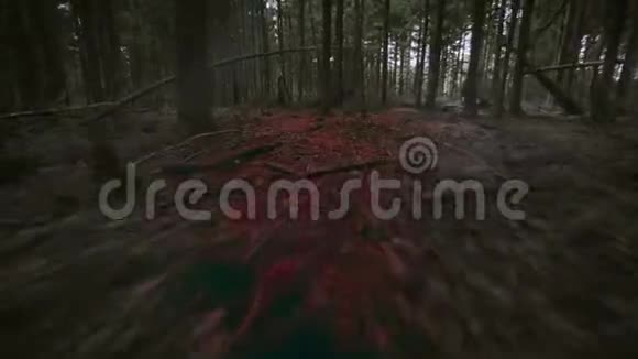丘帕卡布拉或吸血鬼怪物的生物视觉在一个寻血的跟踪普雷在森林中奔跑的小径视频的预览图