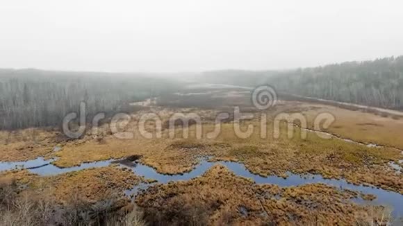 在浓雾下在一片死林中无人机在河上盘旋加拿大马尼托巴省麦克吉利夫雷瀑布视频的预览图