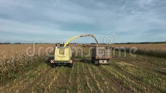 联合收割机在田间收集熟玉米并倒入拖拉机拖车视频的预览图