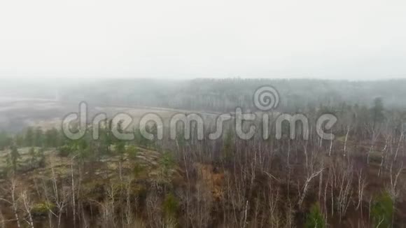 无人机摄像机在浓雾下通过森林中的田野接近一条道路加拿大马尼托巴视频的预览图
