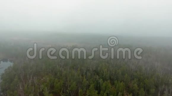 浓雾中秋天森林的空中镜头加拿大马尼托巴视频的预览图