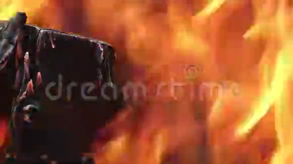 燃烧的树干被火焰覆盖视频的预览图