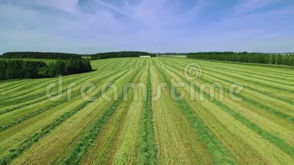 为农业需要在一片新割草的农村土地上向前飞视频的预览图