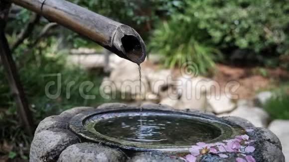 日式花园中的竹制喷泉滴水特写视频的预览图