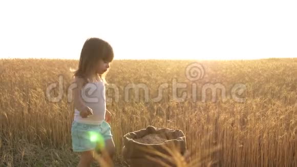 宝贝把谷物放在手掌上小儿子农夫女儿正在田里玩小孩子玩粮食视频的预览图