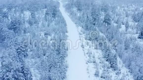 乘着平静的雪飞回小路飞过雪杉松树成了雪云风景优美童话冬林视频的预览图