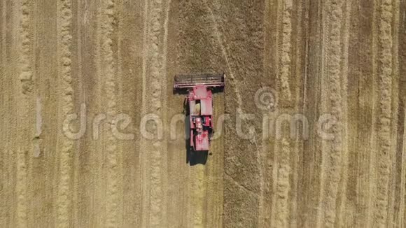 农业收割机在农村采集成熟的麦穗俯视视频的预览图