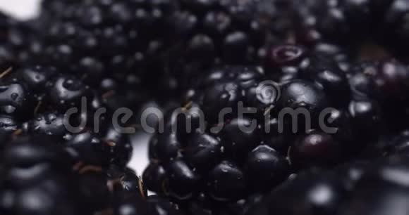 黑莓的宏观探针视频的预览图