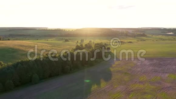 绿山和河口对日落的森林上空视频的预览图