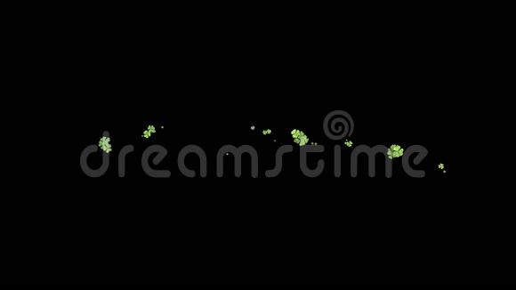 种植三叶草绿叶遮住了屏幕种植草动画与阿尔法哑光视频的预览图