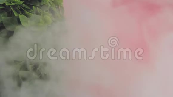 红色背景下的罗勒介绍烟雾中的过渡视频的预览图