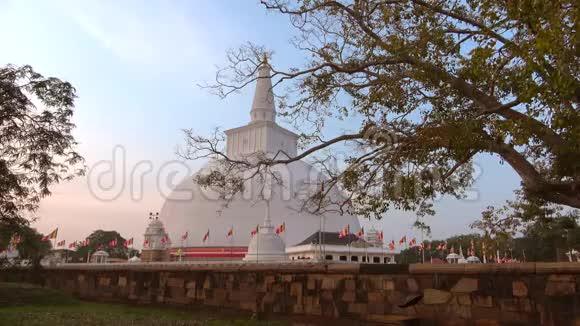 晚上在老达戈巴鲁万威利萨亚Anuradhapura斯里兰卡视频的预览图
