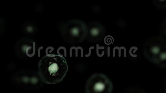 细胞生物学的三维渲染处理生命的最小单位视频的预览图