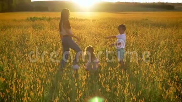有孩子的亚洲妈妈夏天在田野里散步和鲜花搏斗家庭观念视频的预览图