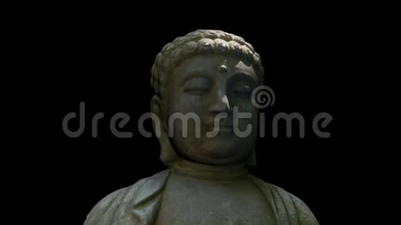 佛陀失踪了包括阿尔法频道视频的预览图