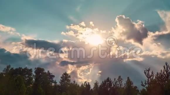 阳光明媚的夏日树林中的风景天空中飘着戏剧性的云彩视频的预览图