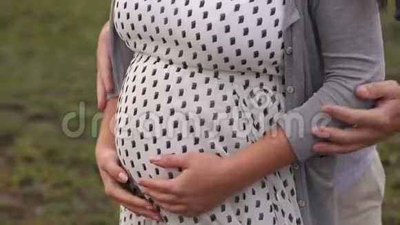 特写人手牵着怀孕的肚子幸福的一家人在视频的预览图
