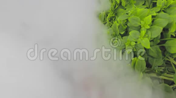 在灰色背景上的罗勒和胡椒介绍向烟雾过渡视频的预览图