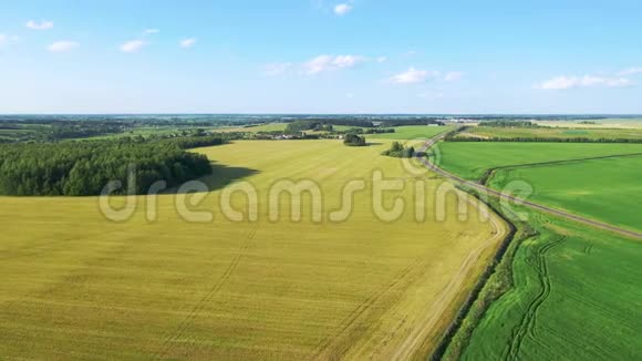 在夏日阳光明媚的日子里用种植的谷物飞越绿色的田园视频的预览图