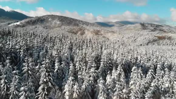 冬季雪山森林空中射击视频的预览图