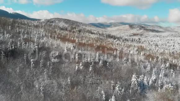 山地中的冬林空中冻结的雪景视频的预览图