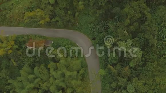 在波多黎各的热带雨林公路上驾驶汽车的空中射击视频的预览图