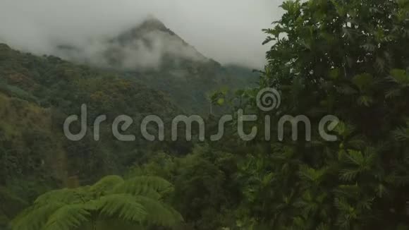 空中瞄准波多黎各山区视频的预览图