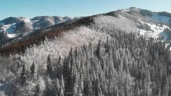 山地中的冬林空中冻结的雪景视频的预览图