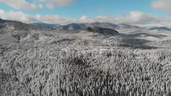 冬季雪山森林空中射击视频的预览图
