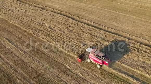 农民联合收割熟小麦籽粒农业田间空中景观视频的预览图