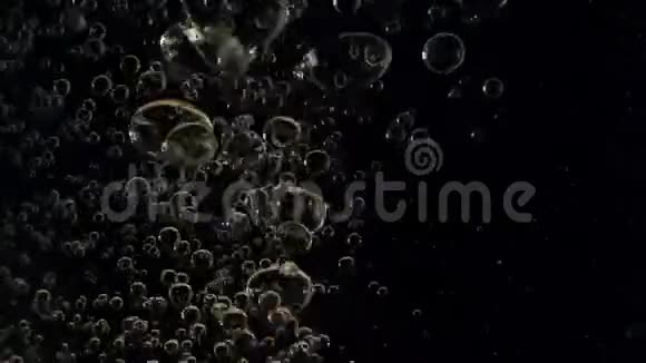 气泡在黑色背景下漂浮在水中视频的预览图