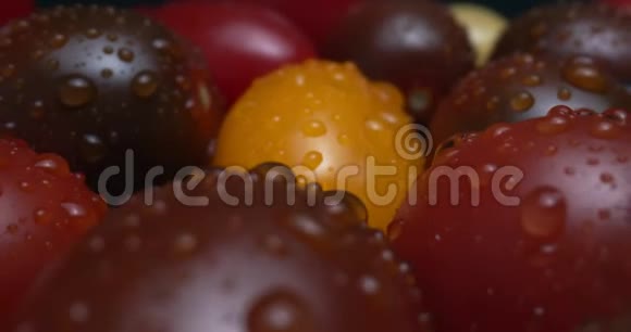 传家宝葡萄樱桃西红柿的麦德利用宏观探针镜头拍摄视频的预览图
