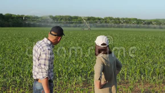 两个农民讨论给玉米地浇水后景视频的预览图