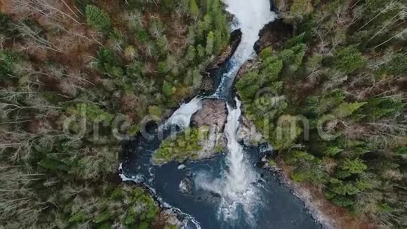 空中拍摄美丽的秋天森林和流水之间的海岸Aguasabon瀑布加拿大安大略省视频的预览图