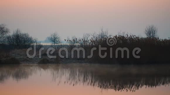 早晨雾在日出湖上河流的薄雾景观自然概念视频的预览图