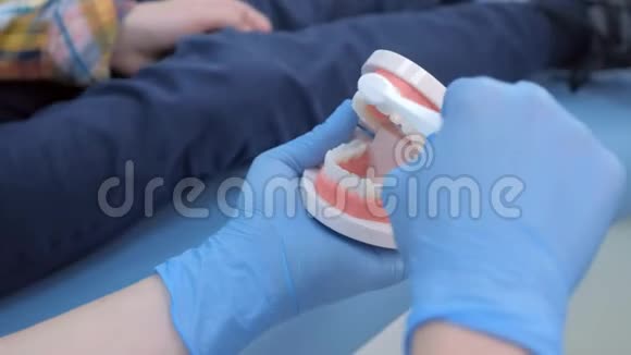 牙医教小男孩如何清洁牙齿使用玩具下巴模型双手特写视频的预览图