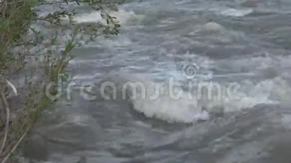 洪水中的浑河雨水泛滥风暴洪水灾难视频的预览图