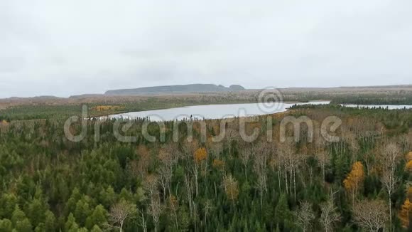 鸟瞰树梢和一个小湖一座山被无人机射中加拿大安大略省玛丽路易斯湖视频的预览图