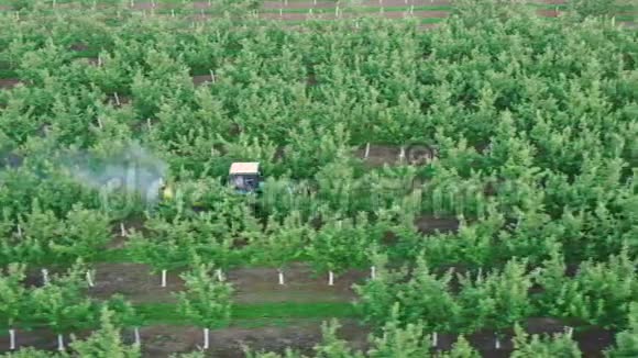 拖拉机用喷洒除草剂和杀虫剂在花园里喷洒苹果树视频的预览图