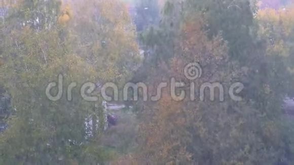 秋天的暴风雪在绿黄树背景上有降雪风视频的预览图