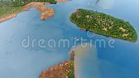 一架无人驾驶飞机拍摄的湖泊和密林小岛的生动画面玛丽路易丝湖安大略省加拿大视频的预览图